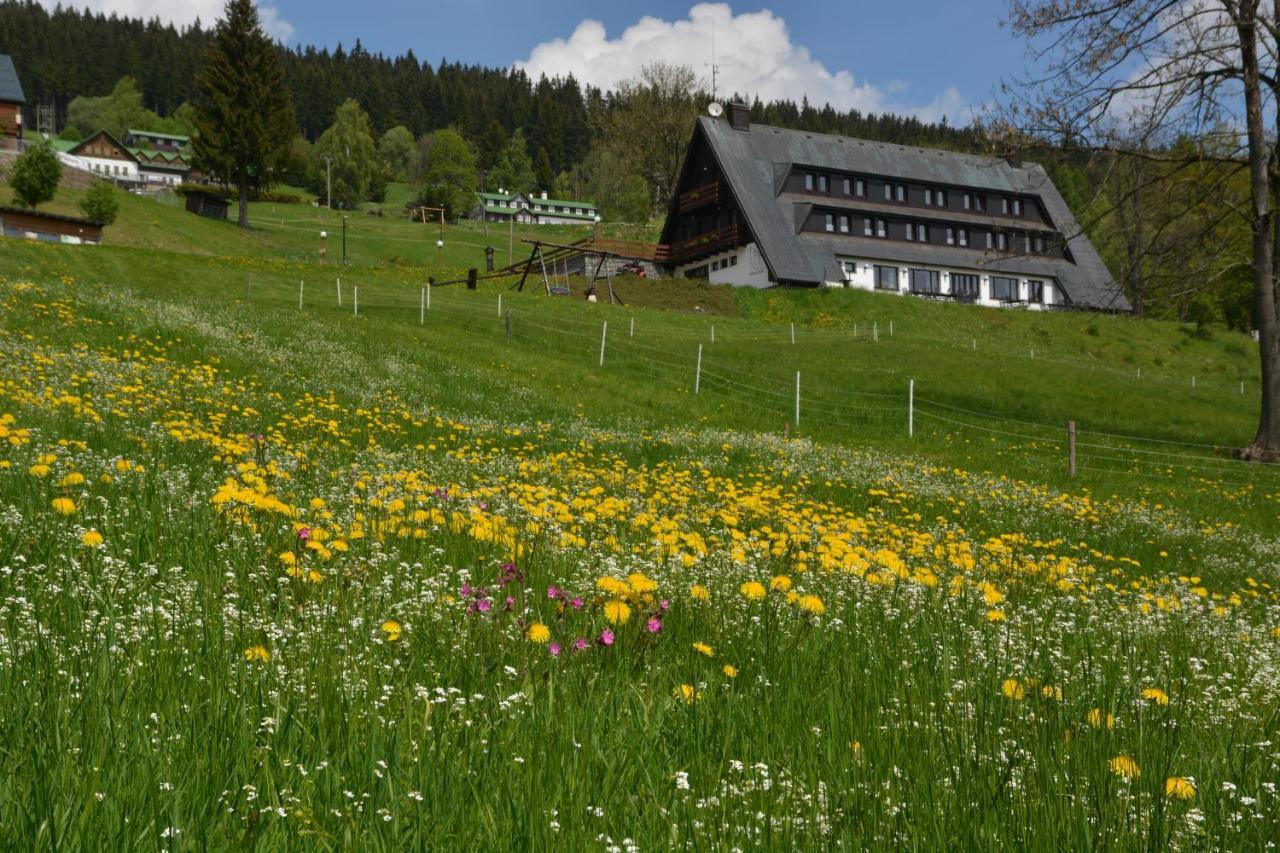 Pension Krakonos Špindlerŭv Mlýn Exterior foto